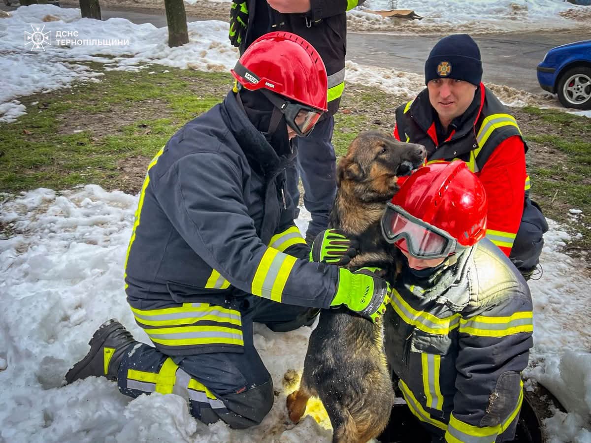 FB IMG 1769753695478