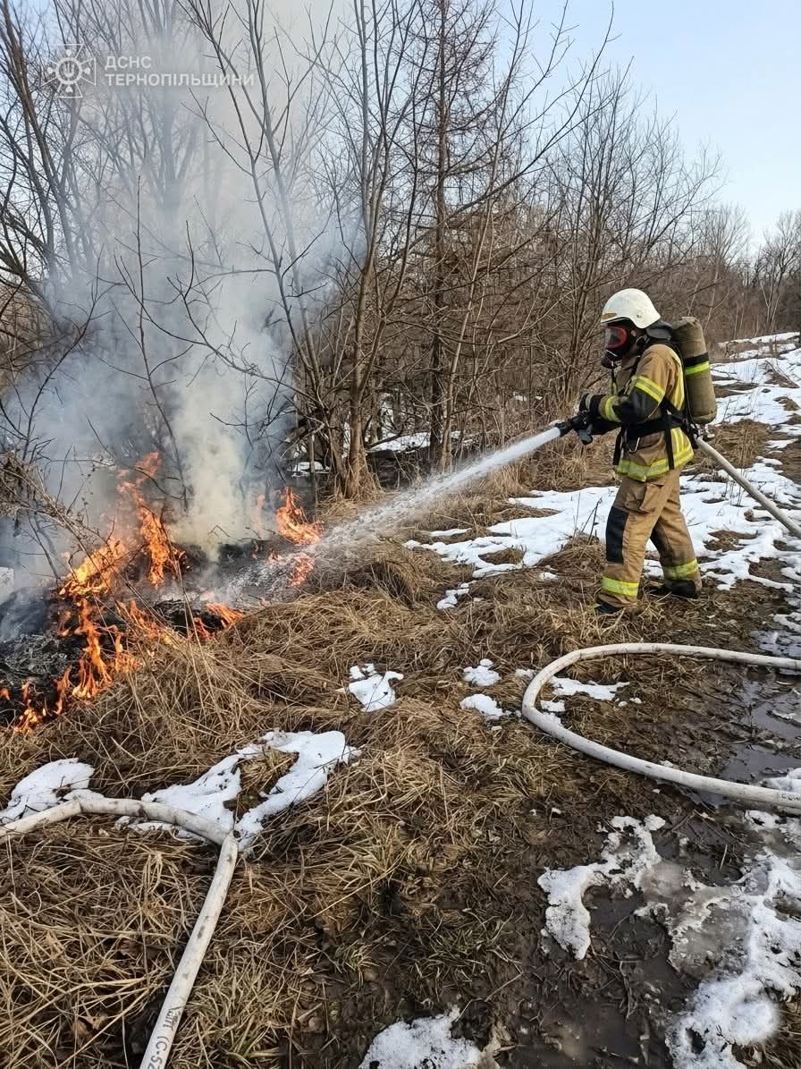 FB IMG 1773133366414