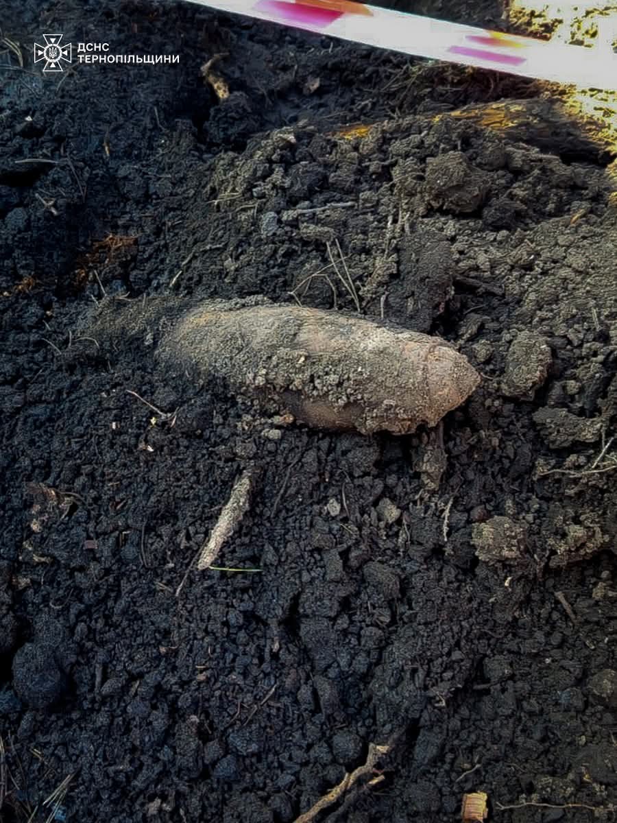 FB IMG 1773382251876