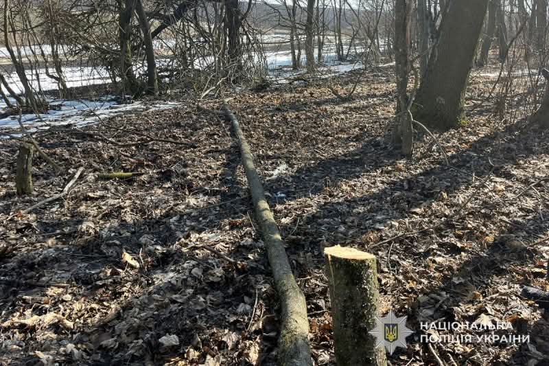 FB IMG 1773404415330