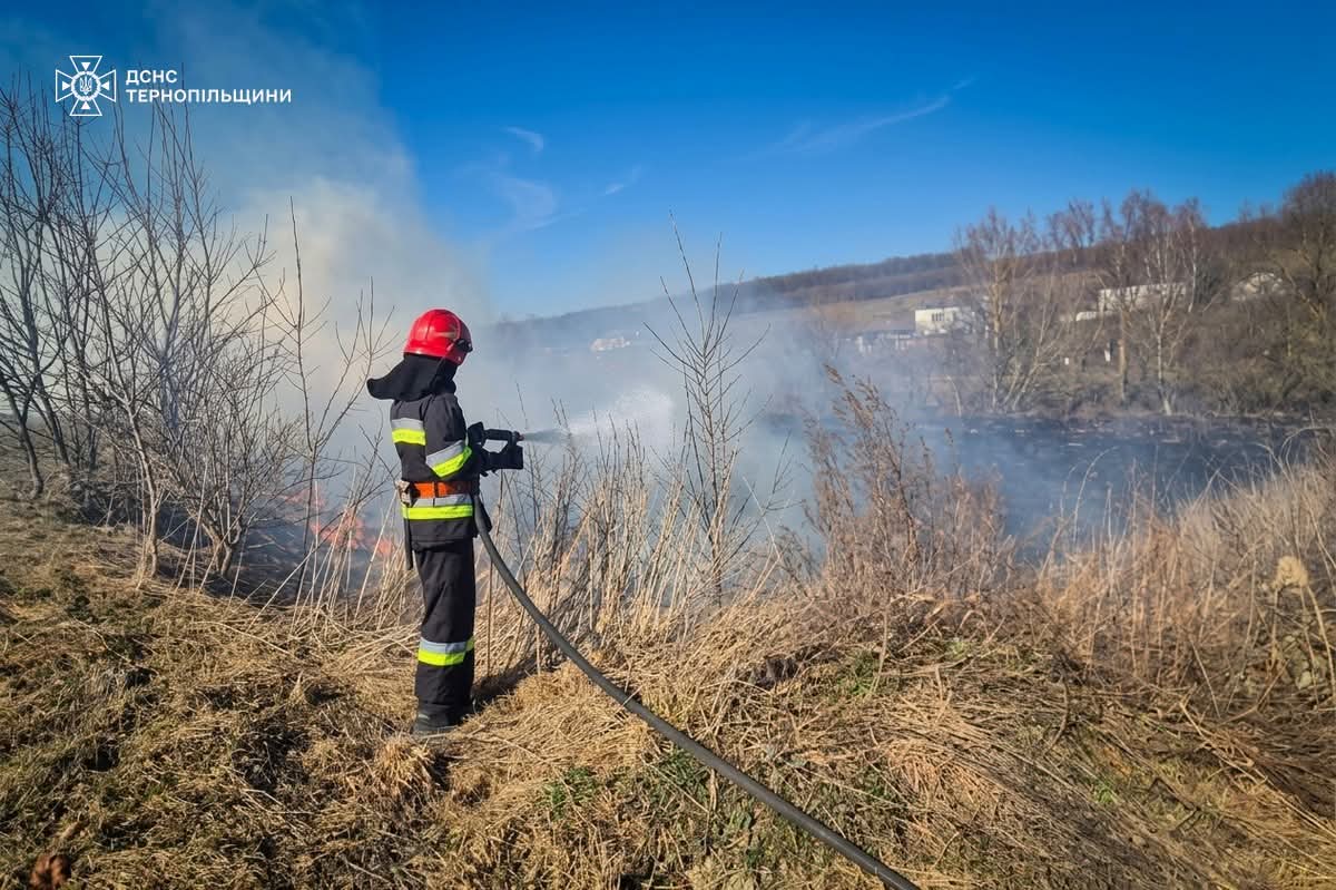 FB IMG 1773655037236