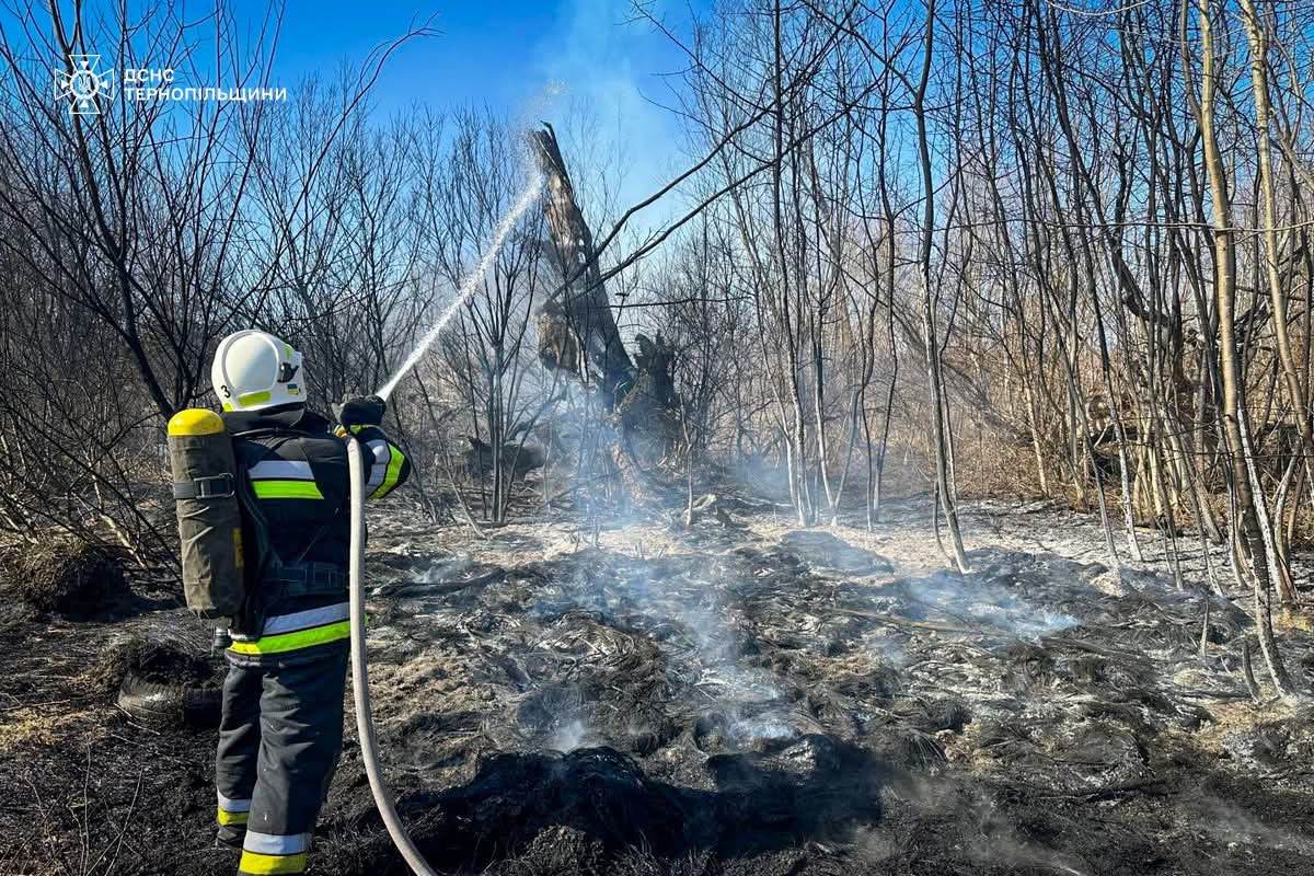 FB IMG 1773655042680