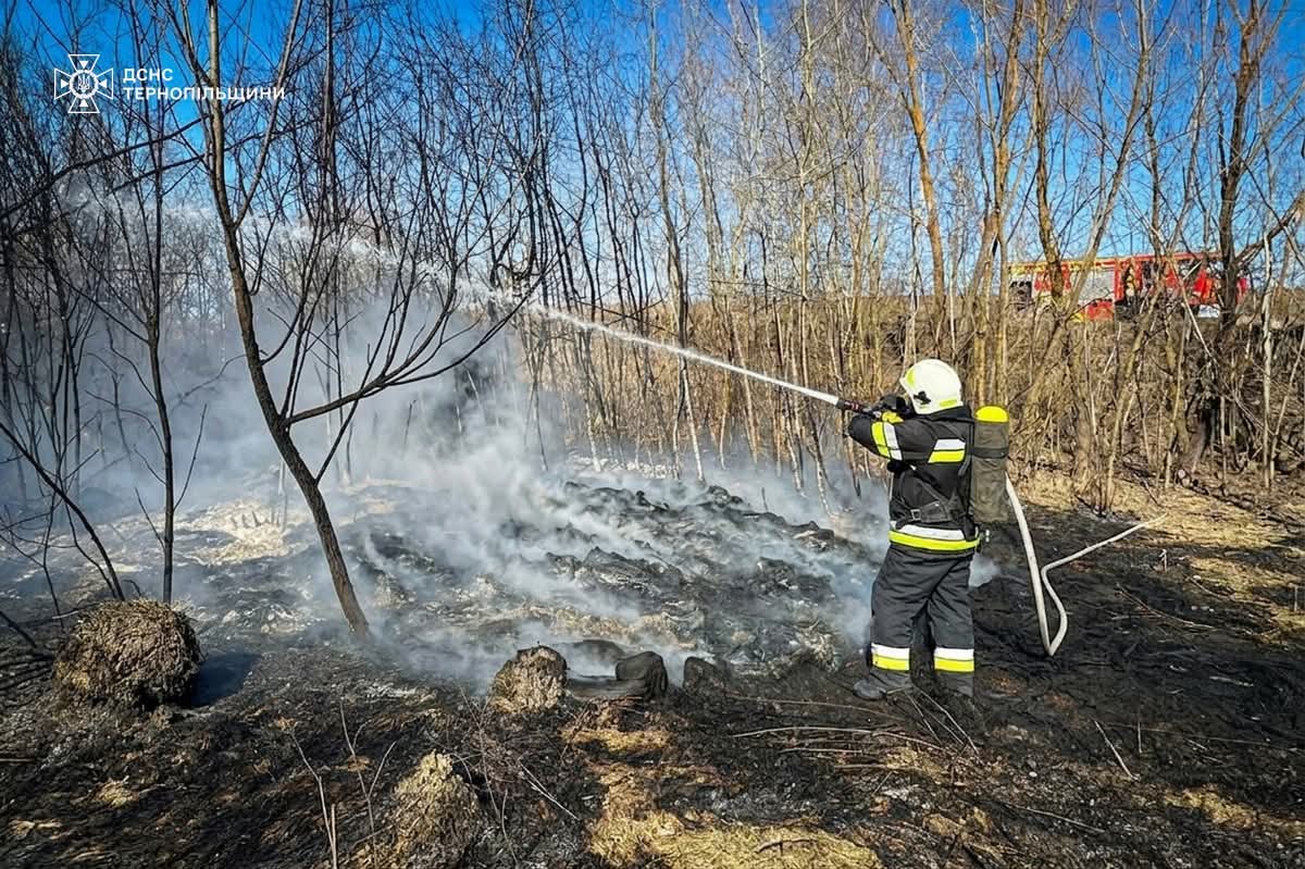 FB IMG 1773901129408