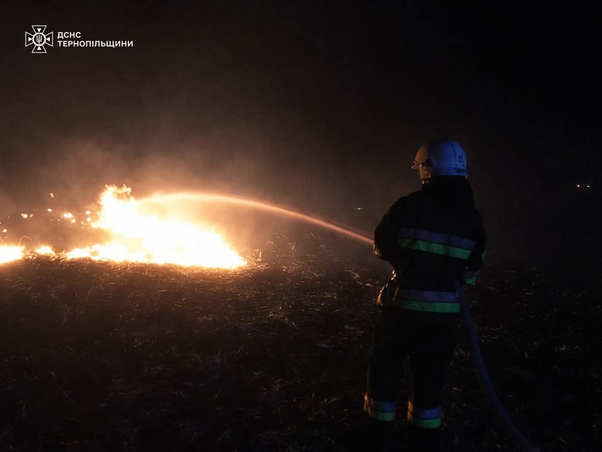 FB IMG 1773913264351