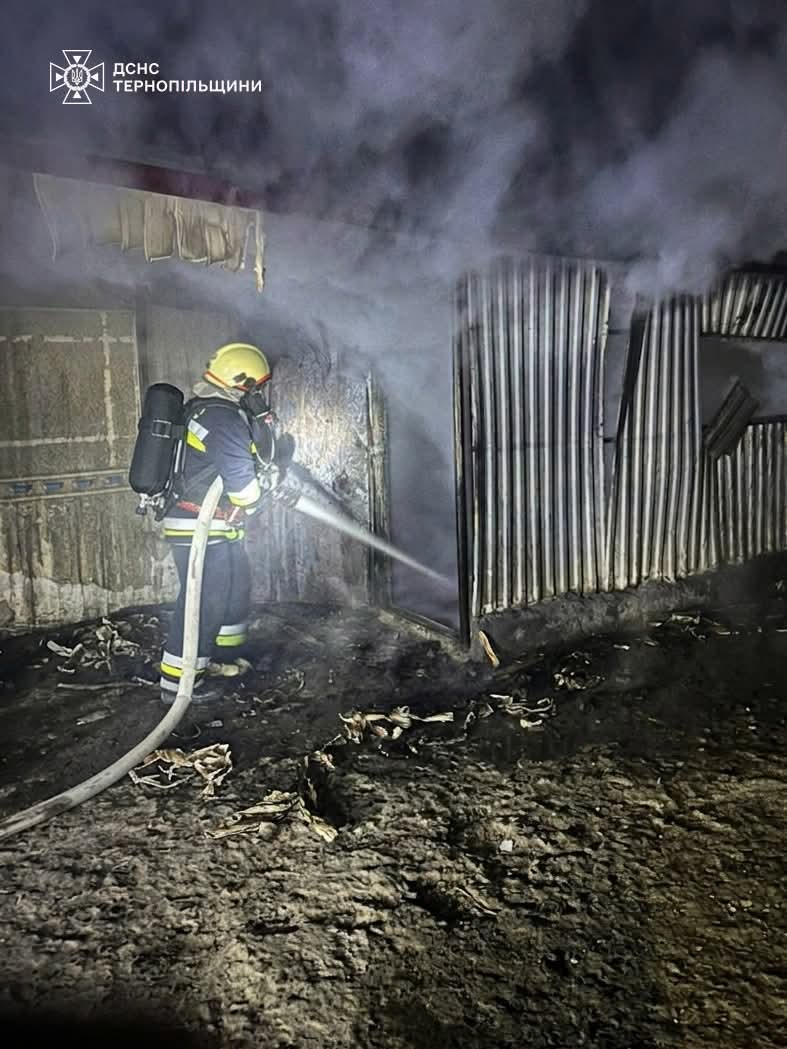 FB IMG 1773913268624