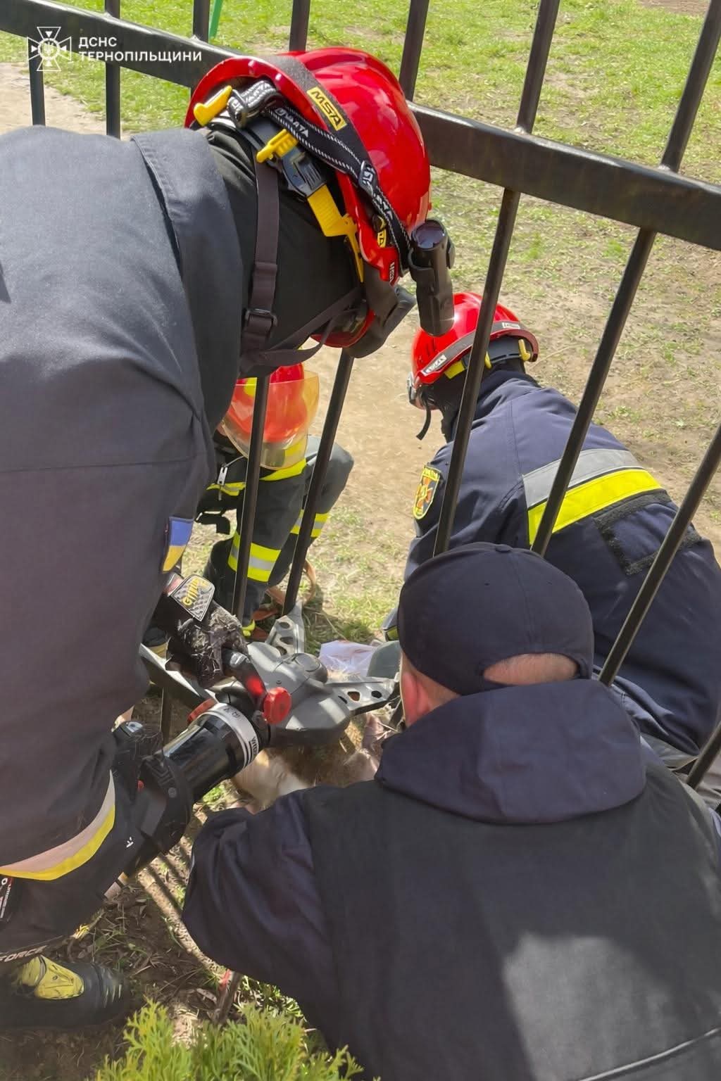 FB IMG 1775630394138