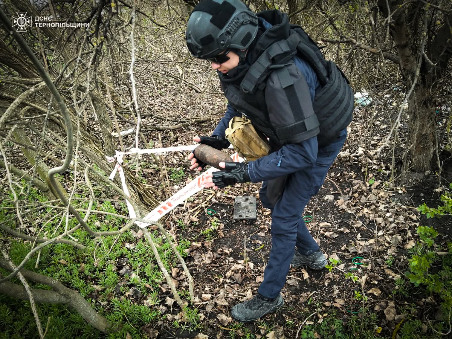 FB IMG 1775884336105