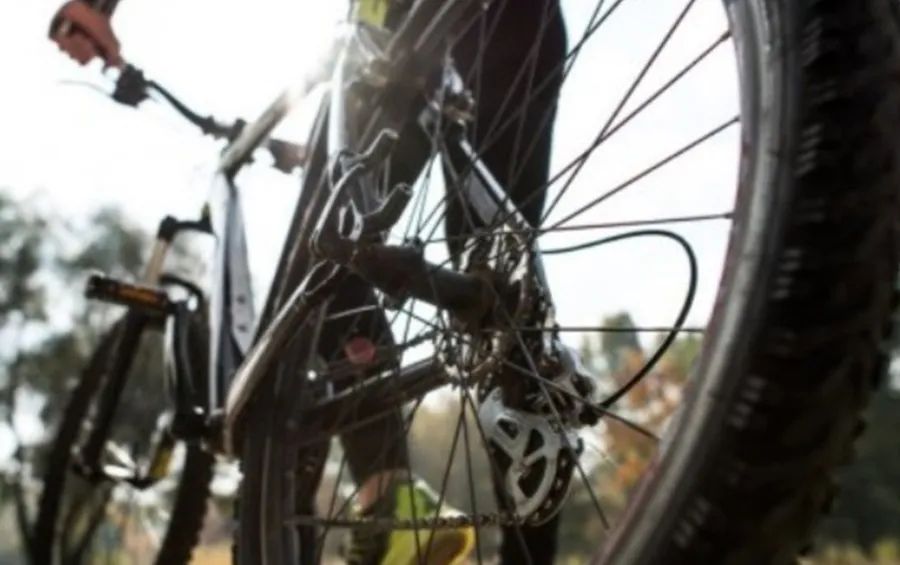 IMG 20250602 103123 145