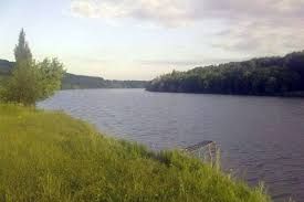 IMG 20250616 104910 781