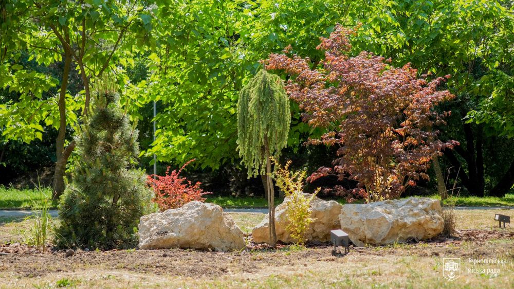 IMG 20250707 092942 699