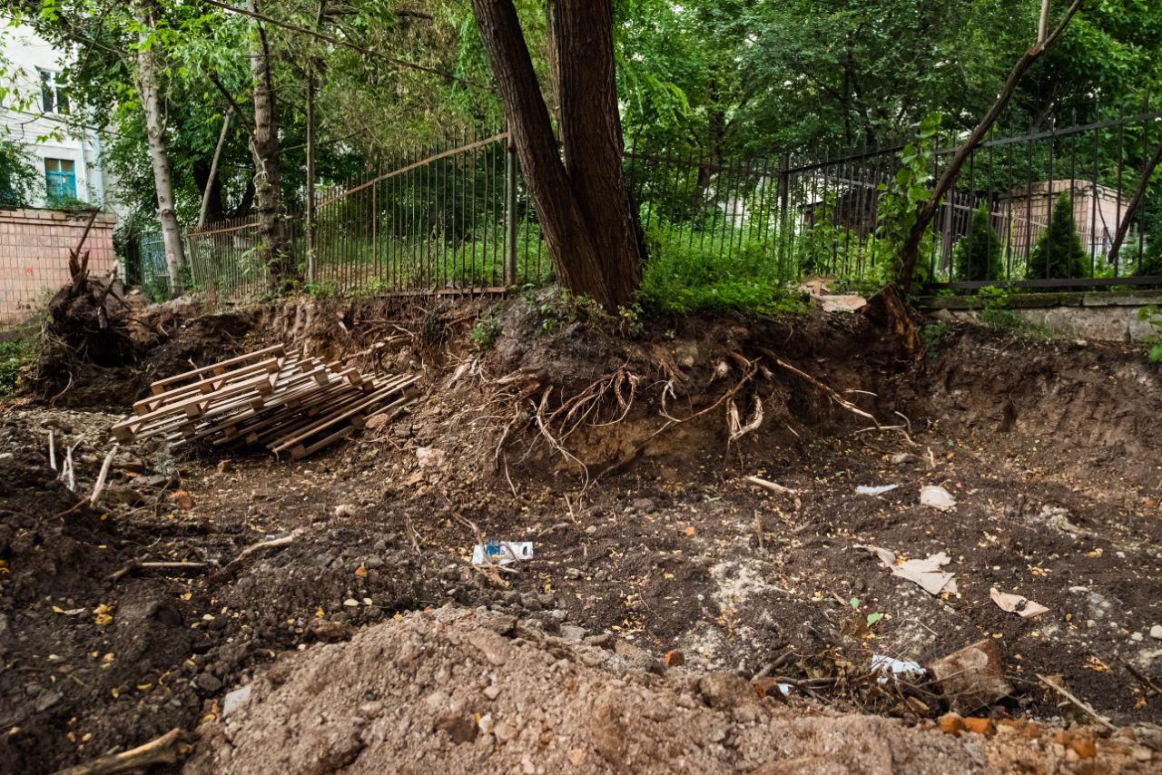 IMG 20250826 092420 305