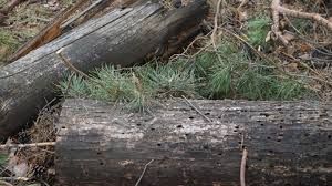 IMG 20250829 103421 341