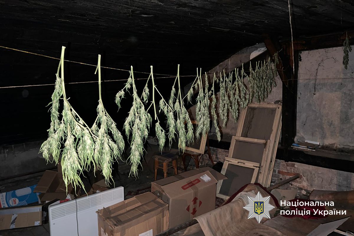 IMG 20250912 125005 222