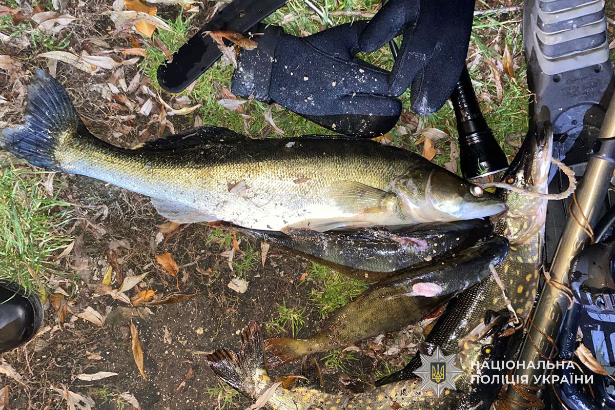 IMG 20251031 121422 159