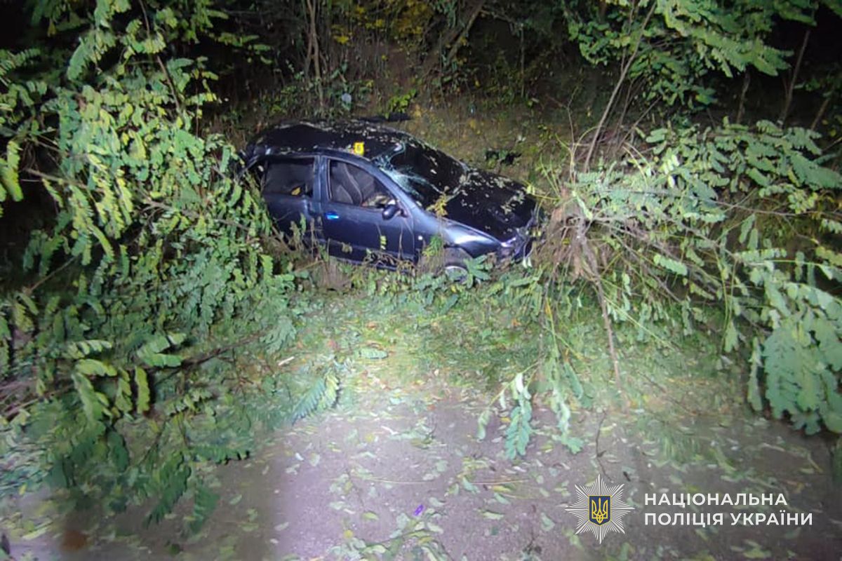 IMG 20251103 145417 306