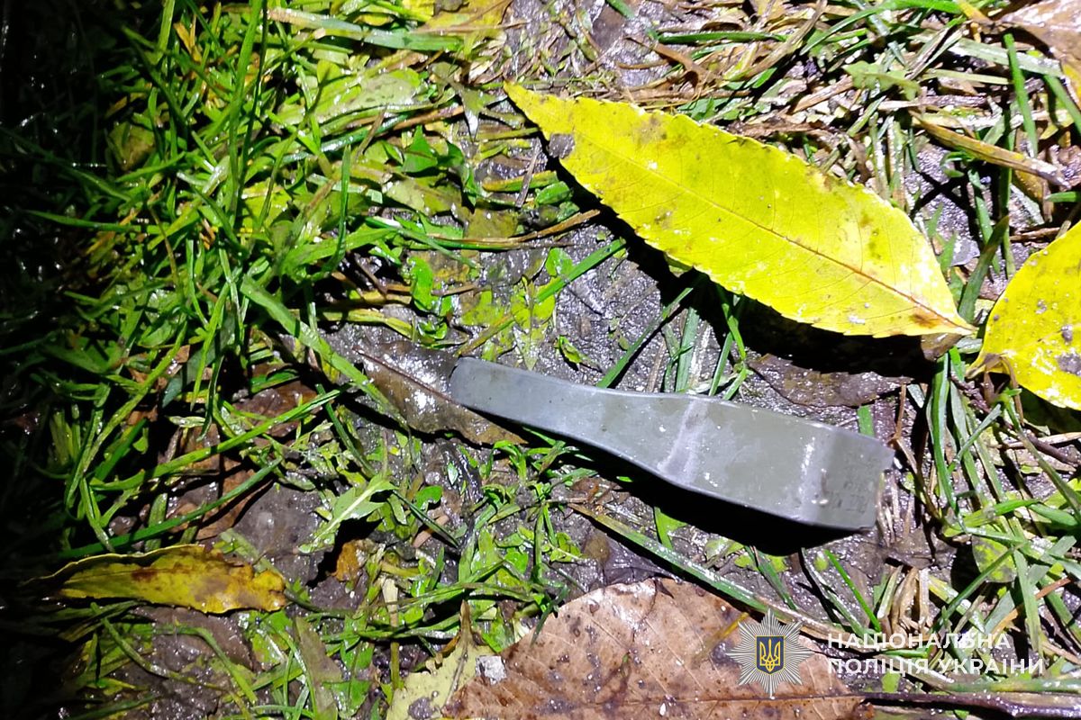 IMG 20251104 172847 761