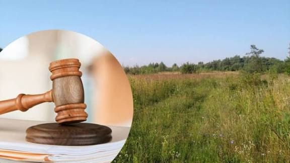 IMG 20251107 104156 516