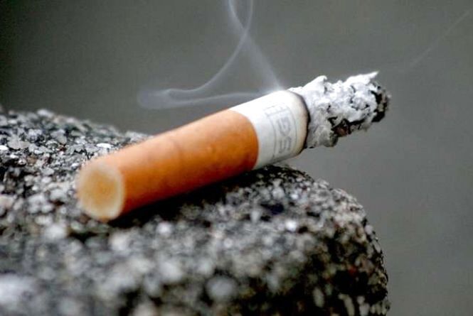 IMG 20251112 085503 720