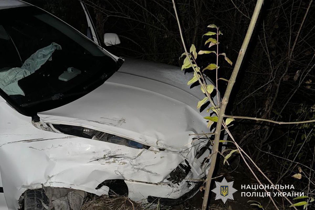 IMG 20251117 111123 492