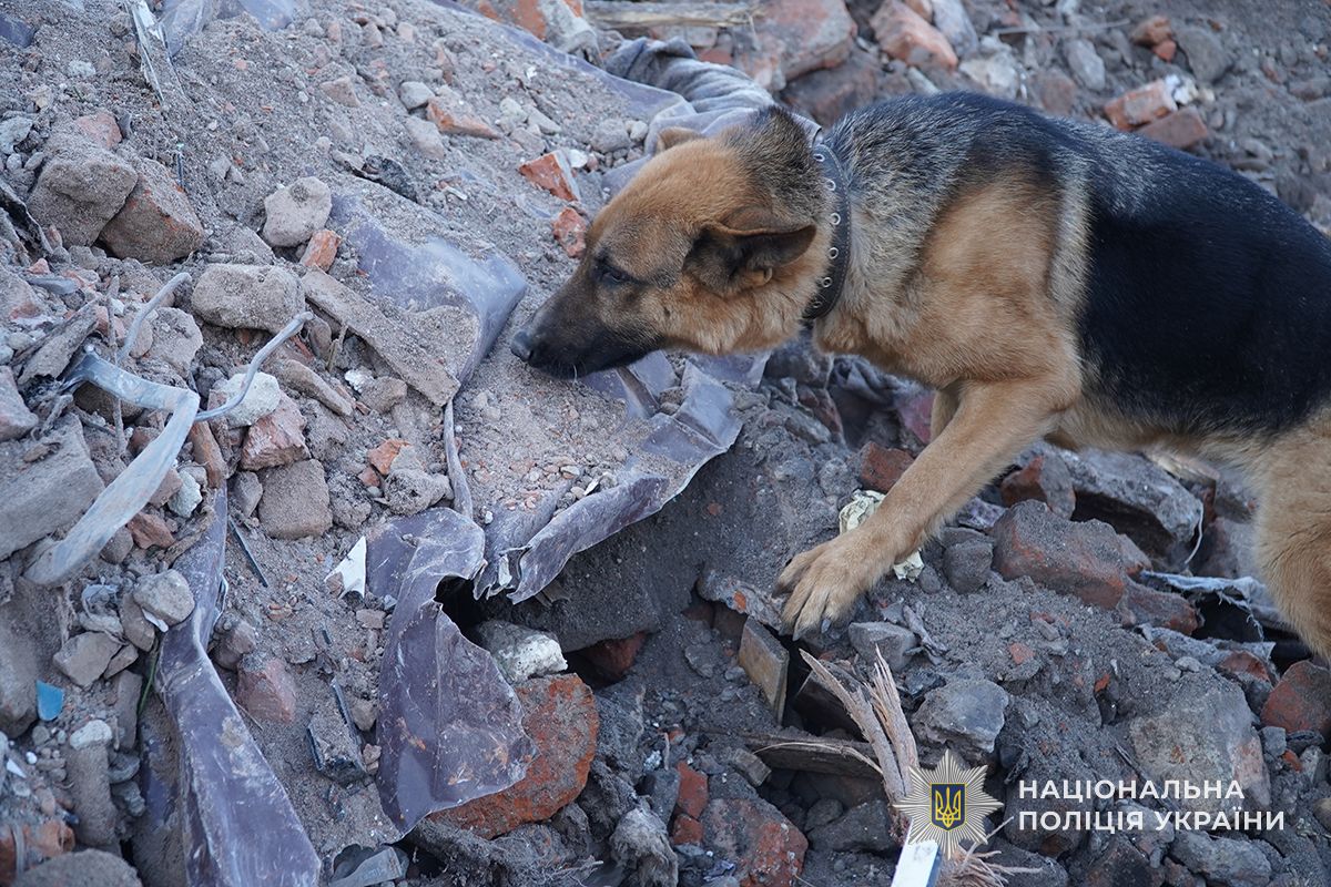 IMG 20251125 082139 533