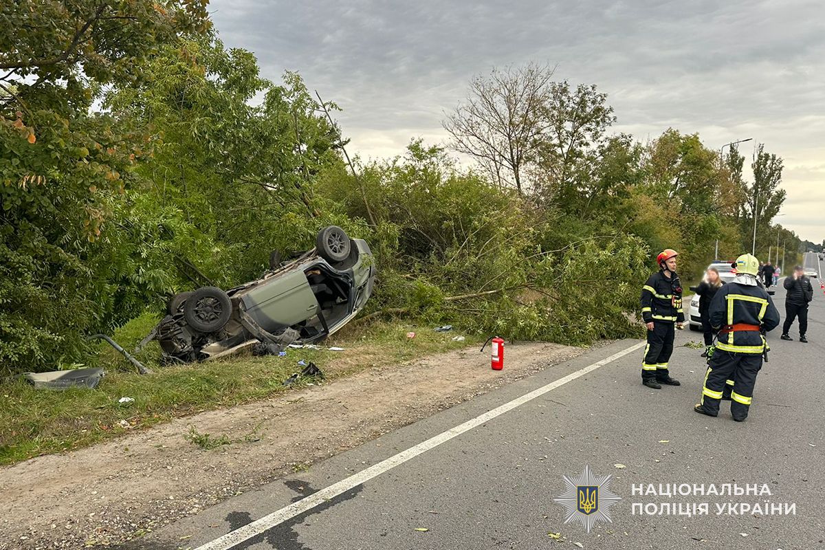 IMG 20251125 115320 273