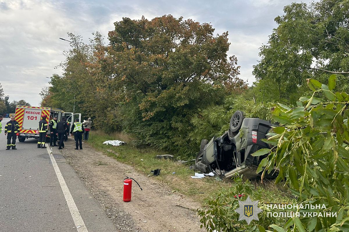 IMG 20251125 115323 000