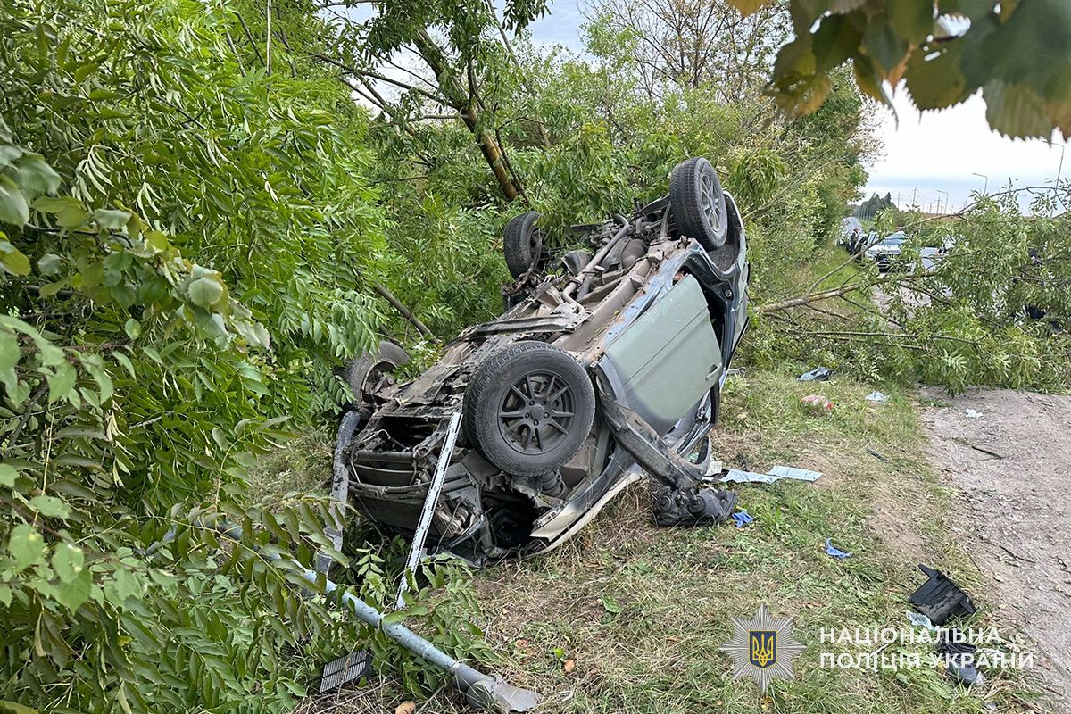 IMG 20251125 115325 501