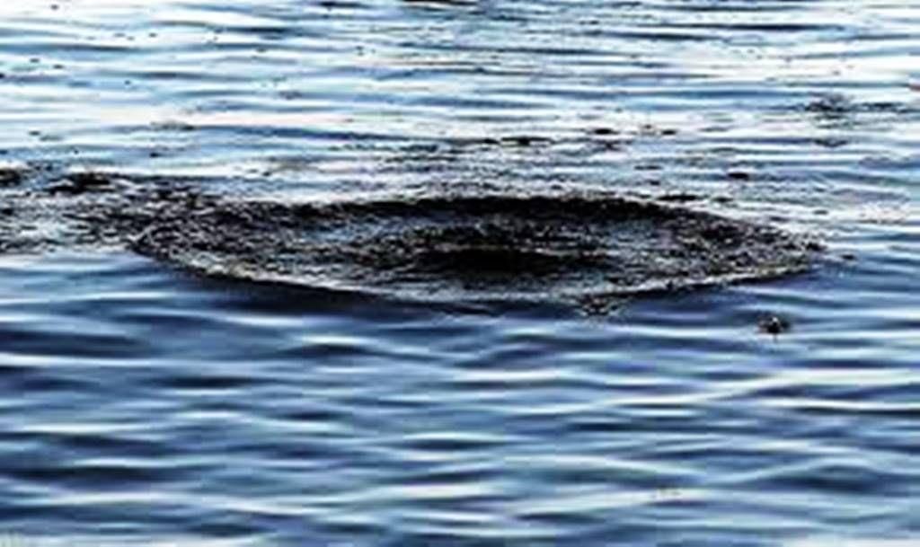 IMG 20251210 120618 371