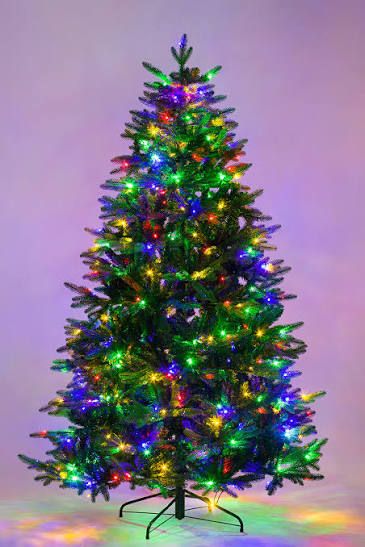 IMG 20251216 173815 791