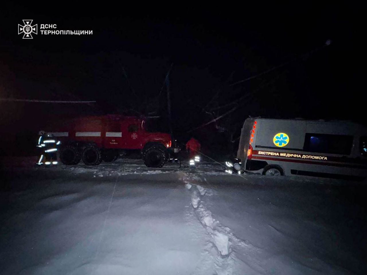 IMG 20260109 113247 834