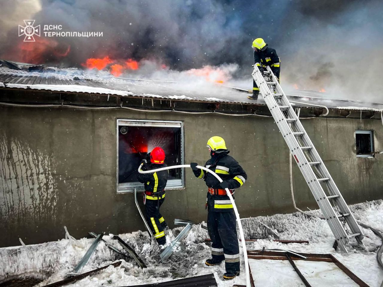 IMG 20260112 084720 647