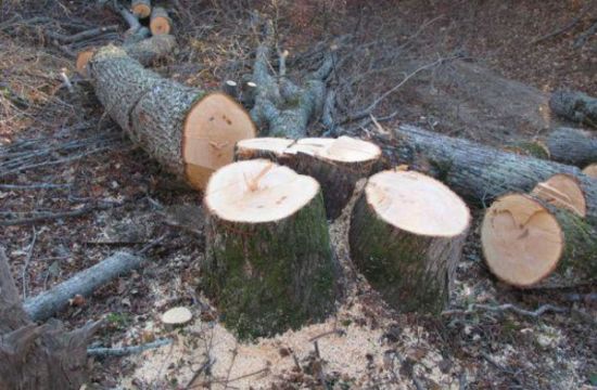 IMG 20260120 105739 218