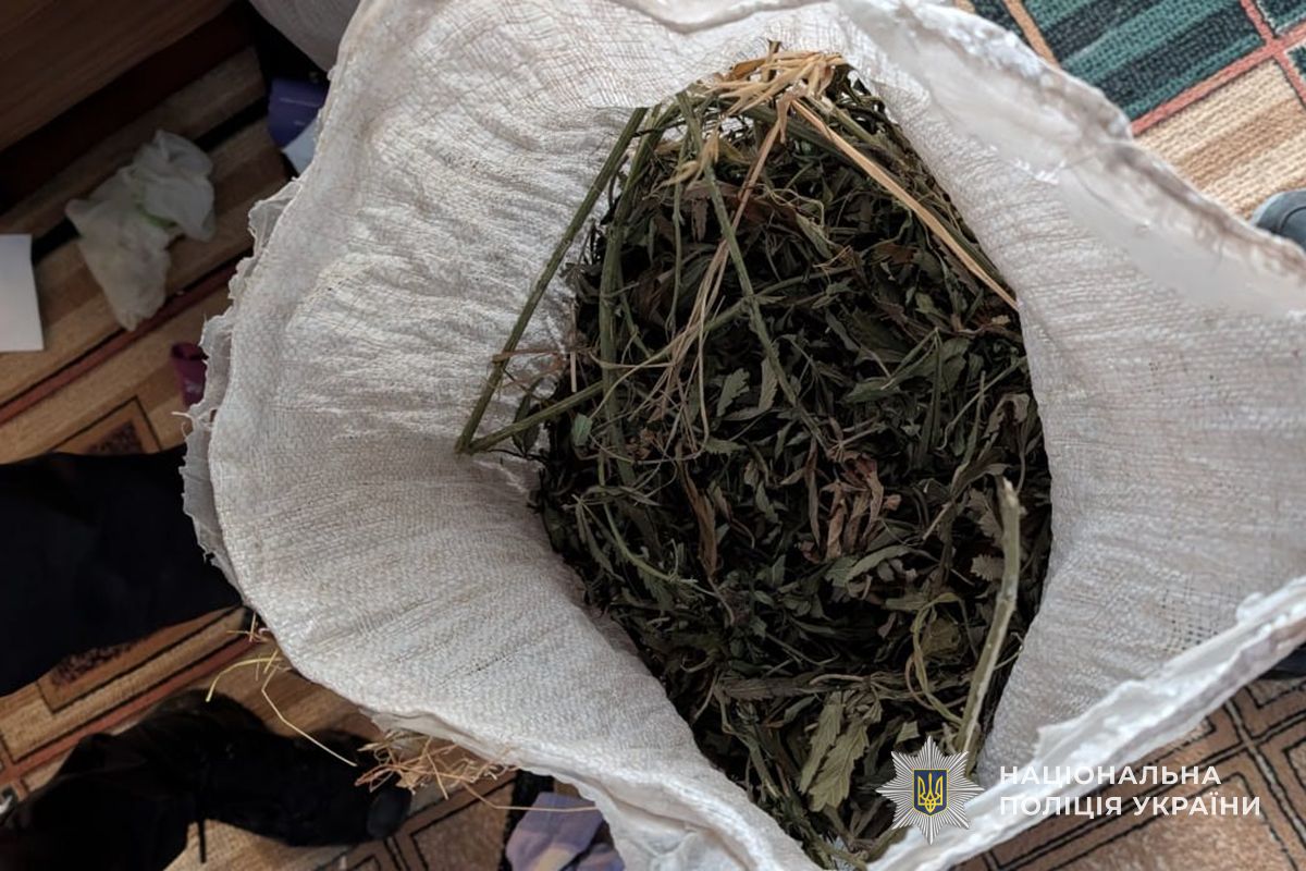 IMG 20260123 112344 409