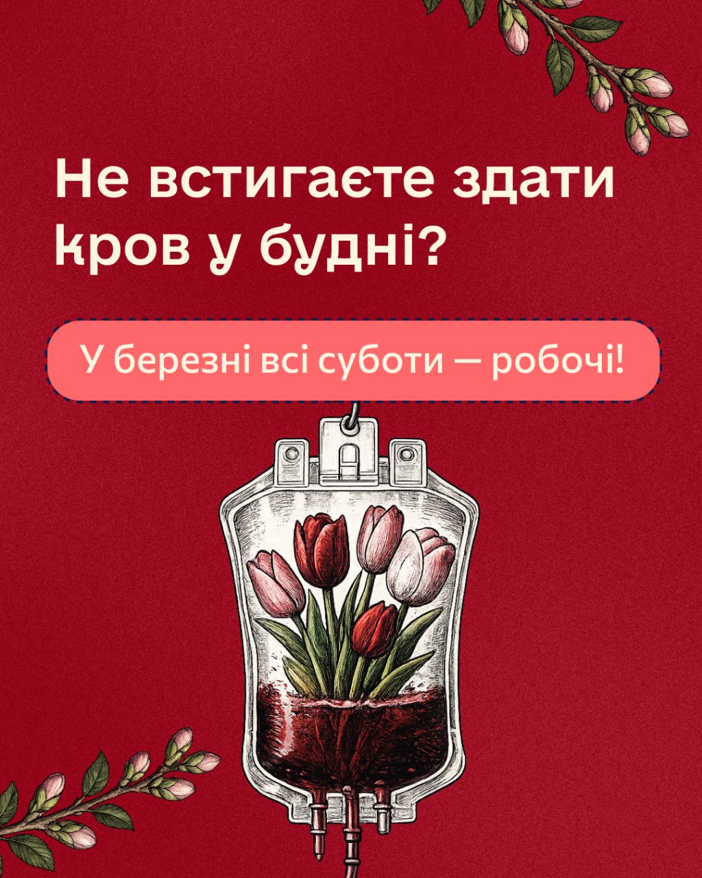 IMG 20260303 071439 988