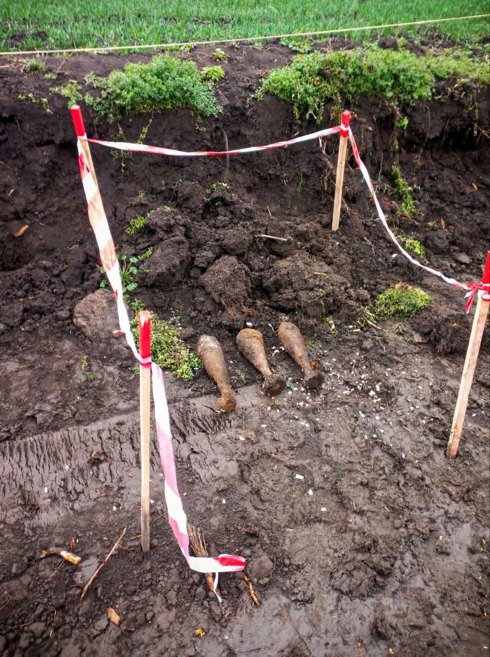 IMG 20260401 105021 604