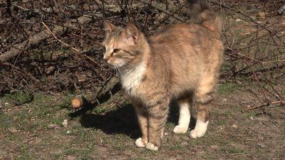 IMG 20260403 092203 913