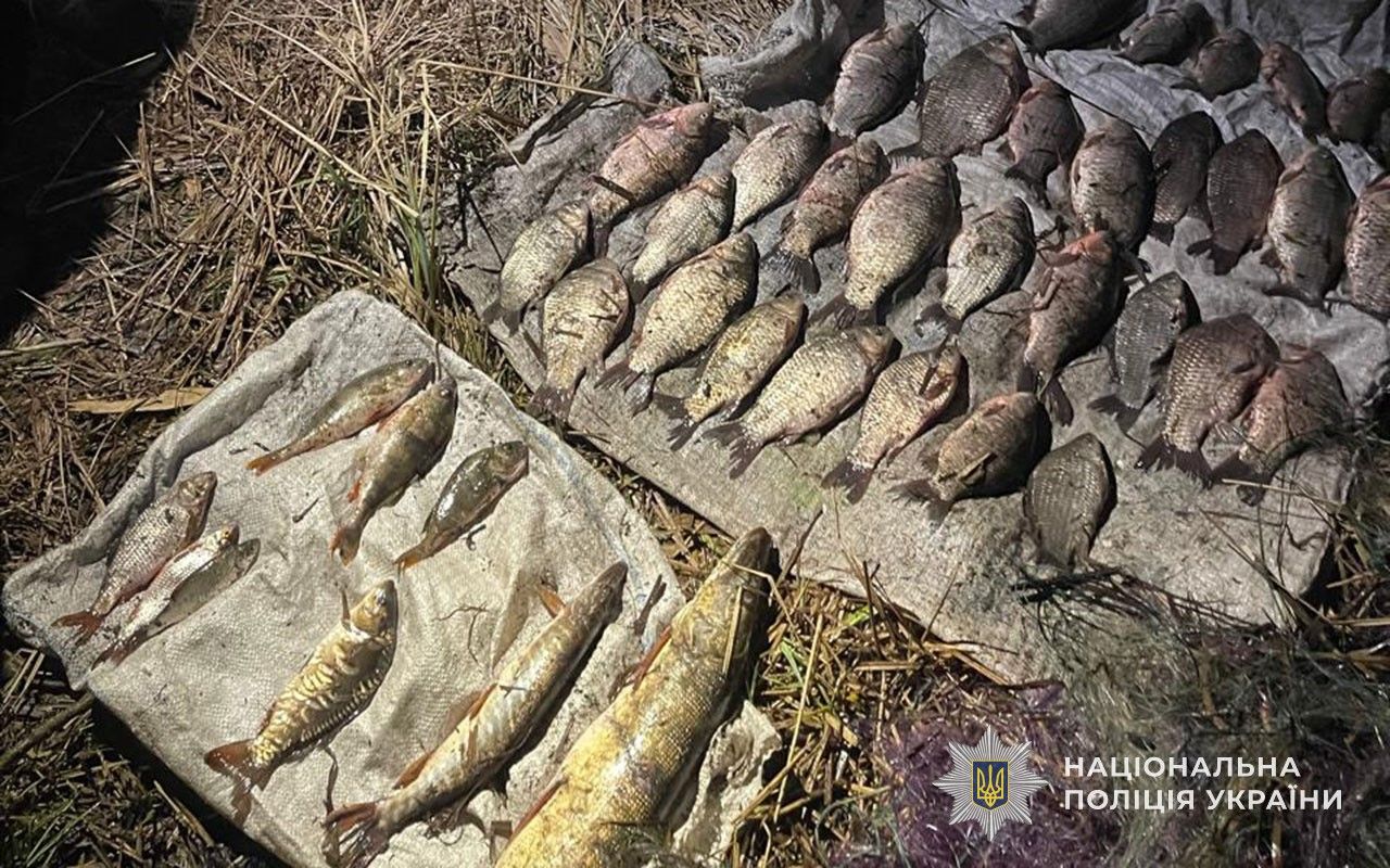 IMG 20260408 105001 339