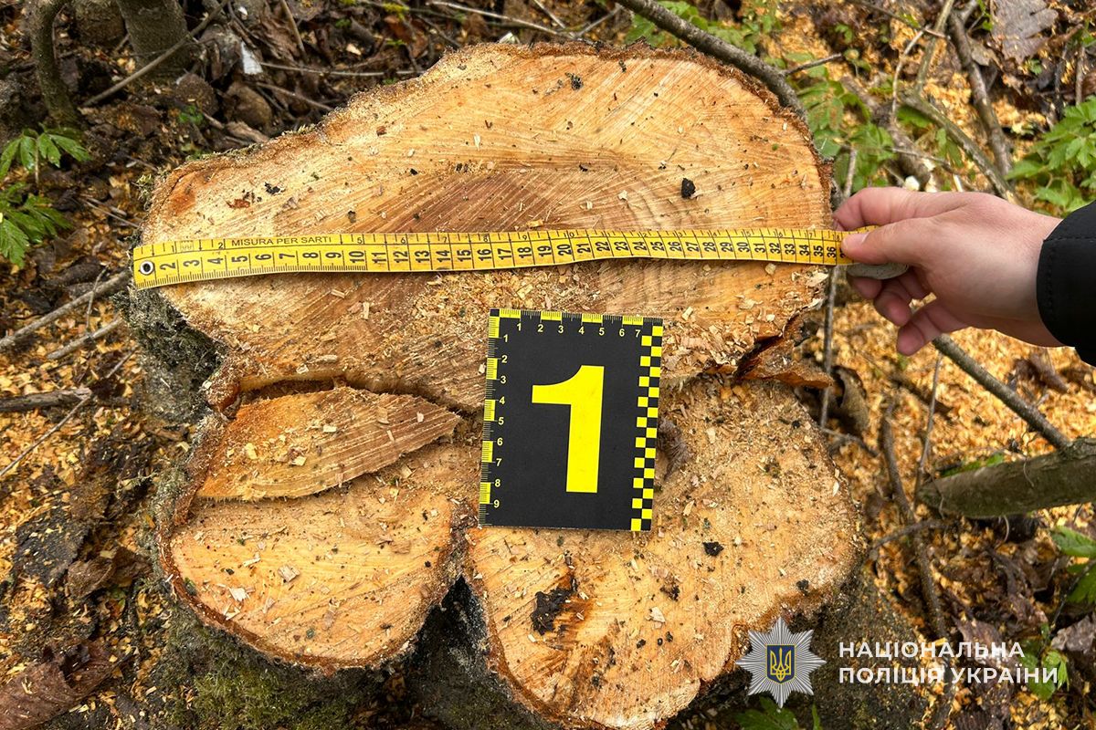 IMG 20260409 111904 733