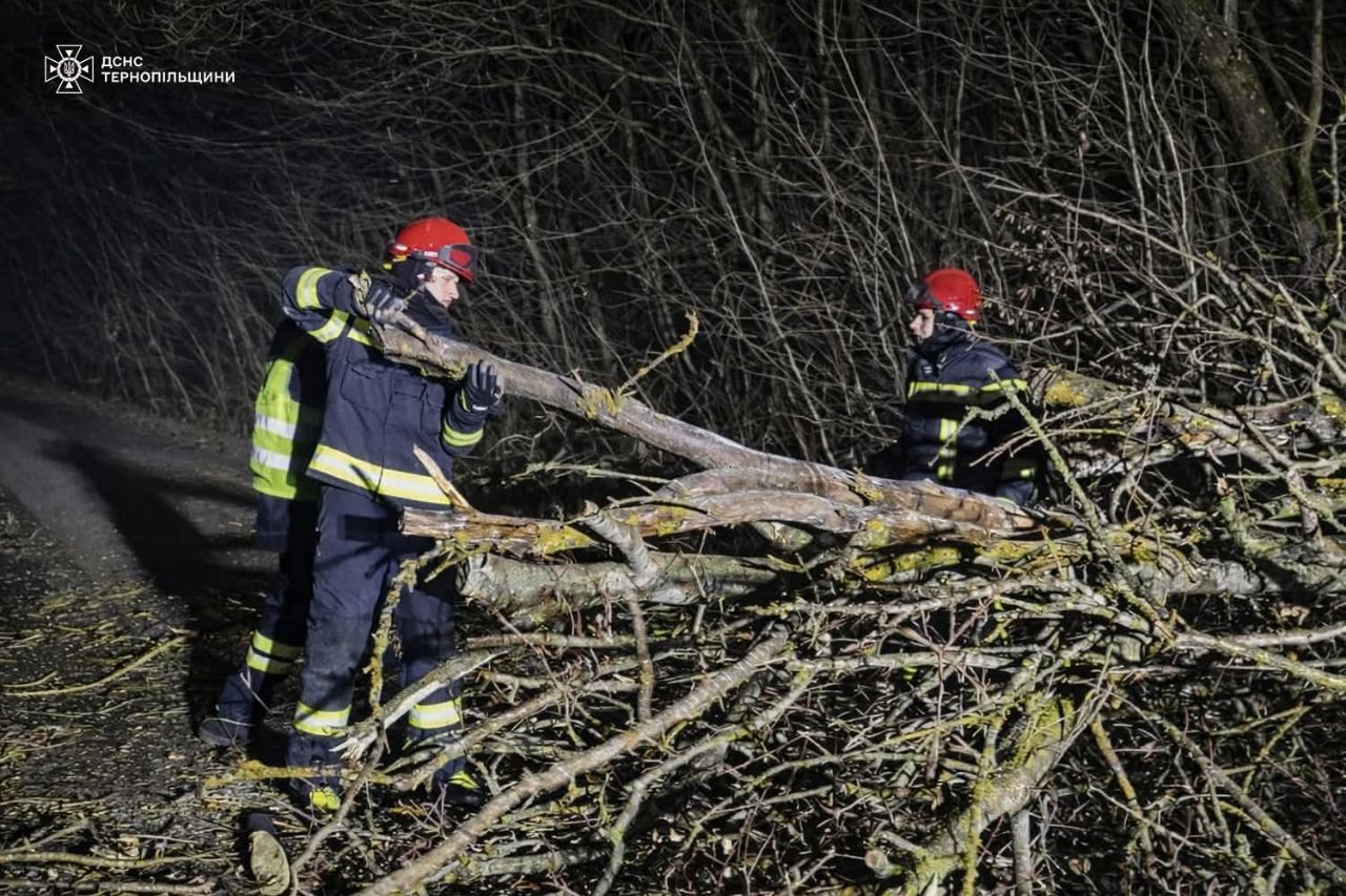 IMG 20260409 114933 335