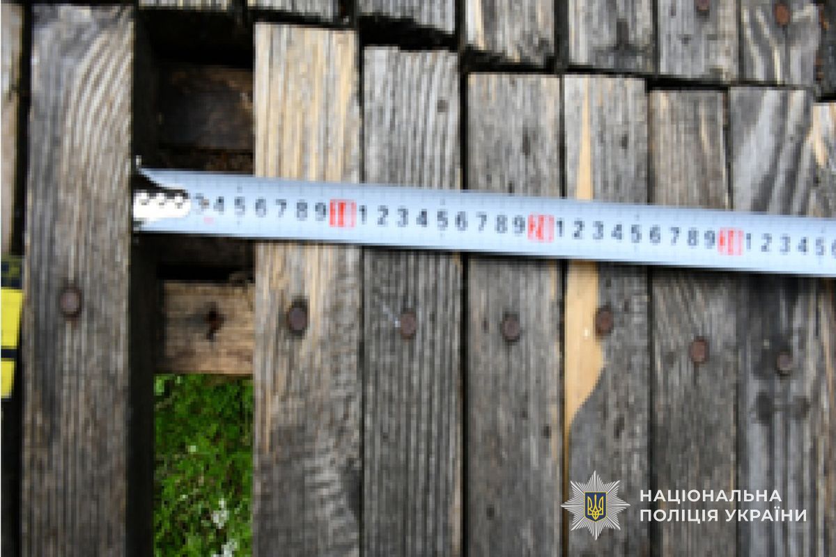 IMG 20260410 081951 847