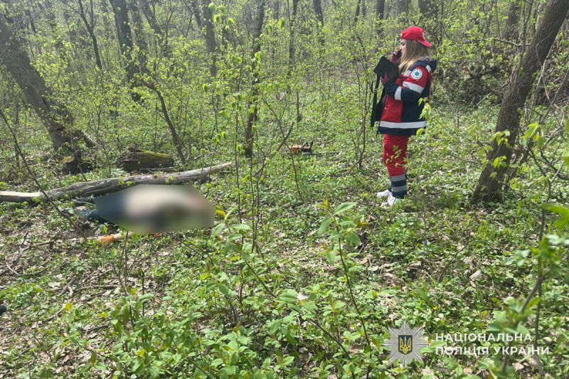 IMG 20260416 173648 683