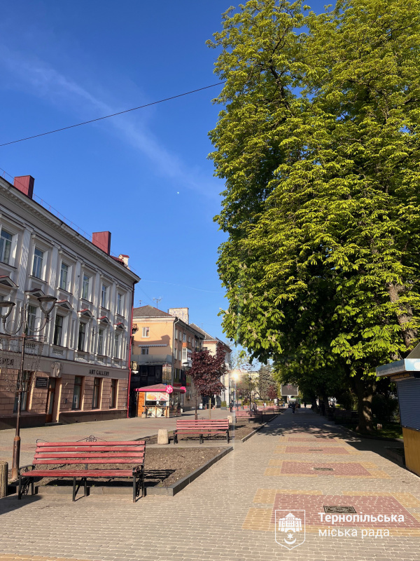 aleya zirok 25 06 2025