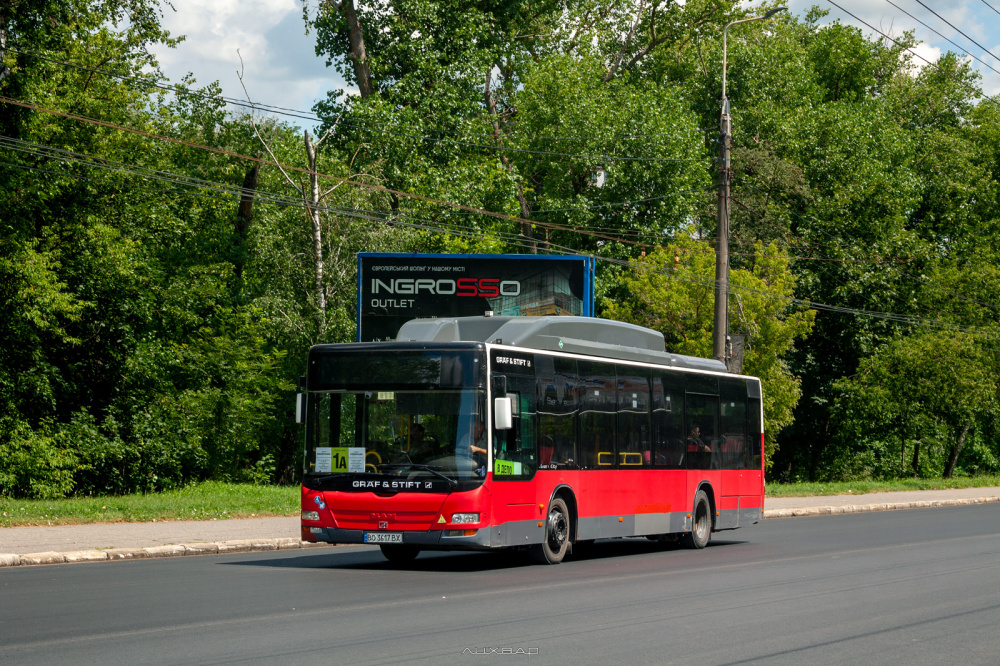 avtobus 240625
