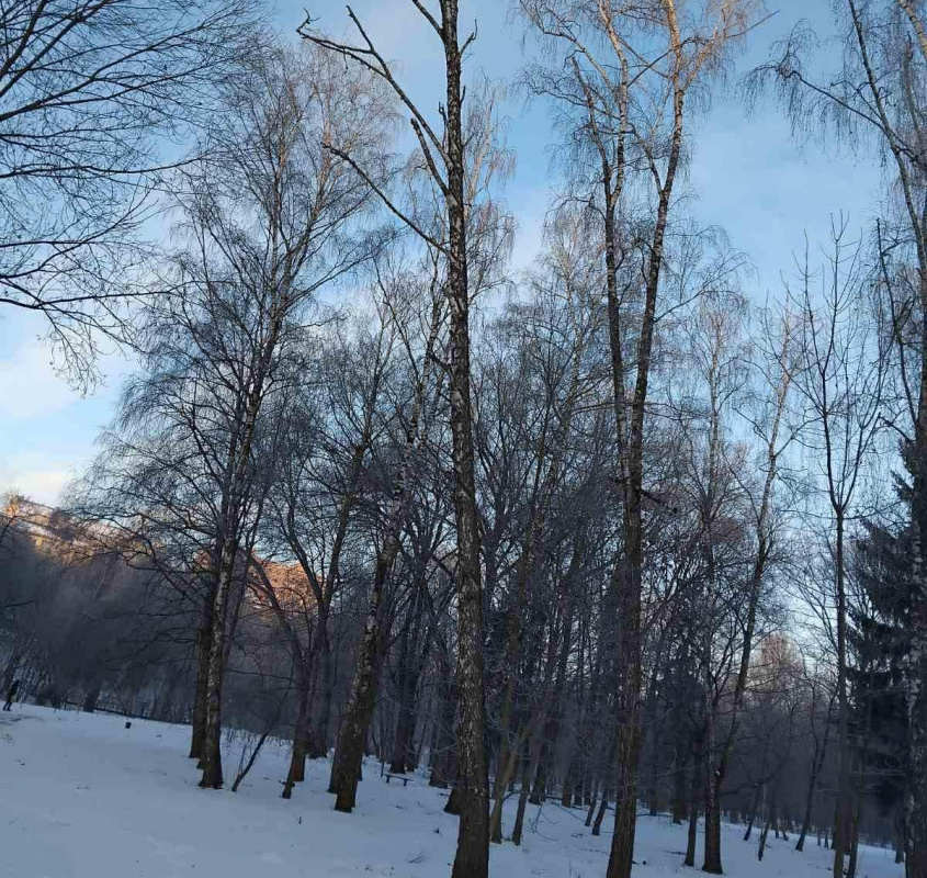 bereza park sopilche 05 01 26