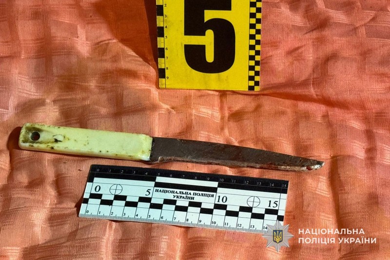 img 0ca460b07aedf5b9d8975f97bdaace81 1