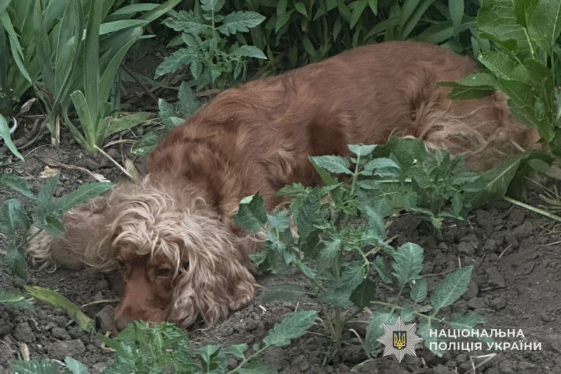 img 3210221b02a0caeaa96dbd19ceb963c7