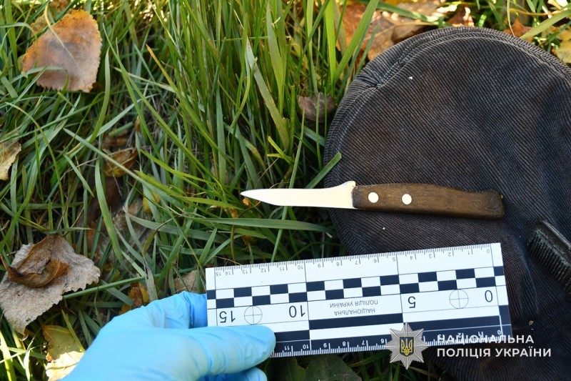 img 3253db9b0182ea7687947300df19556b