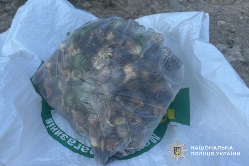 img 6856cbd77bc20d72d537304971f55dd6