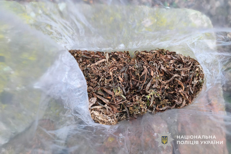 img 769426a61202f31b3f2d8a3d14a227c3