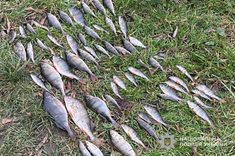 img aded3fb9154e606aa6bf70fbd03c7494